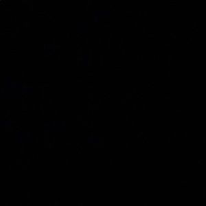 Meet your Posher, Nyla